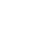 Expert Craftsmanship icon